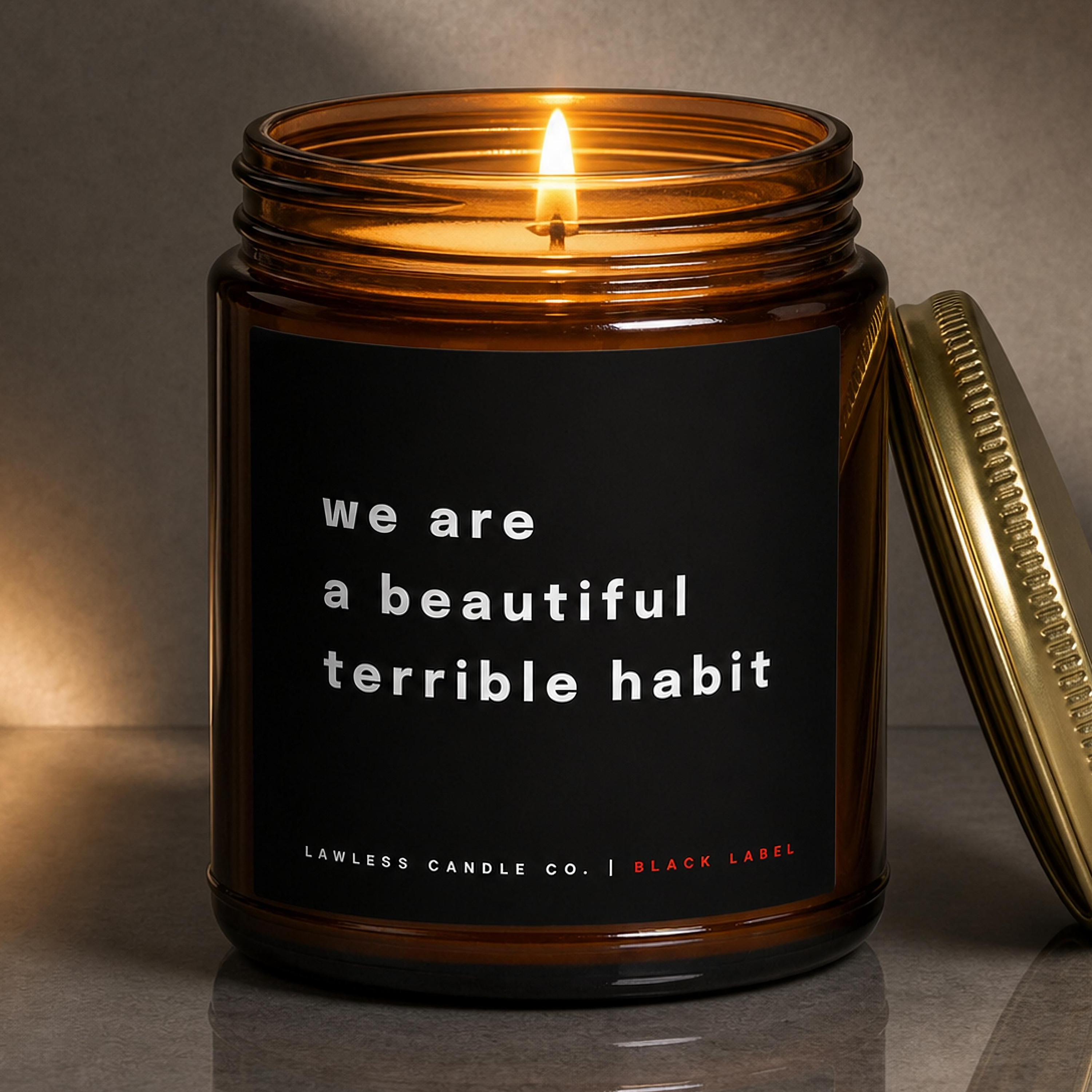 we are a beautiful terrible habit