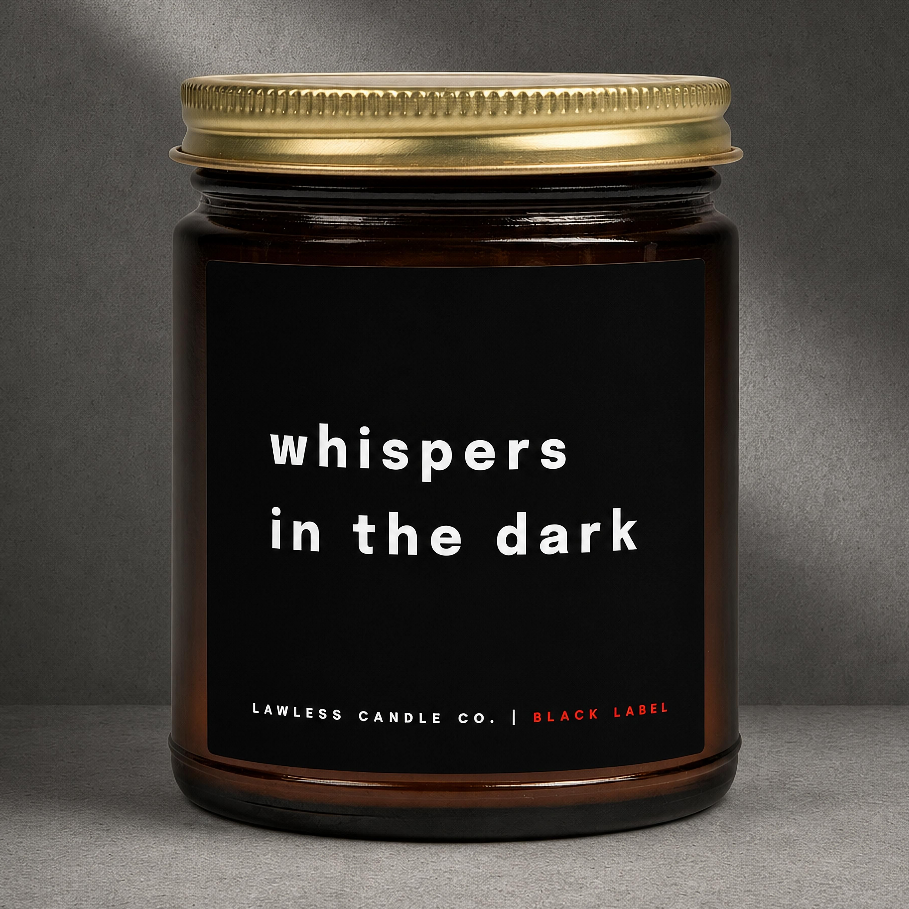 whispers in the dark | L14
