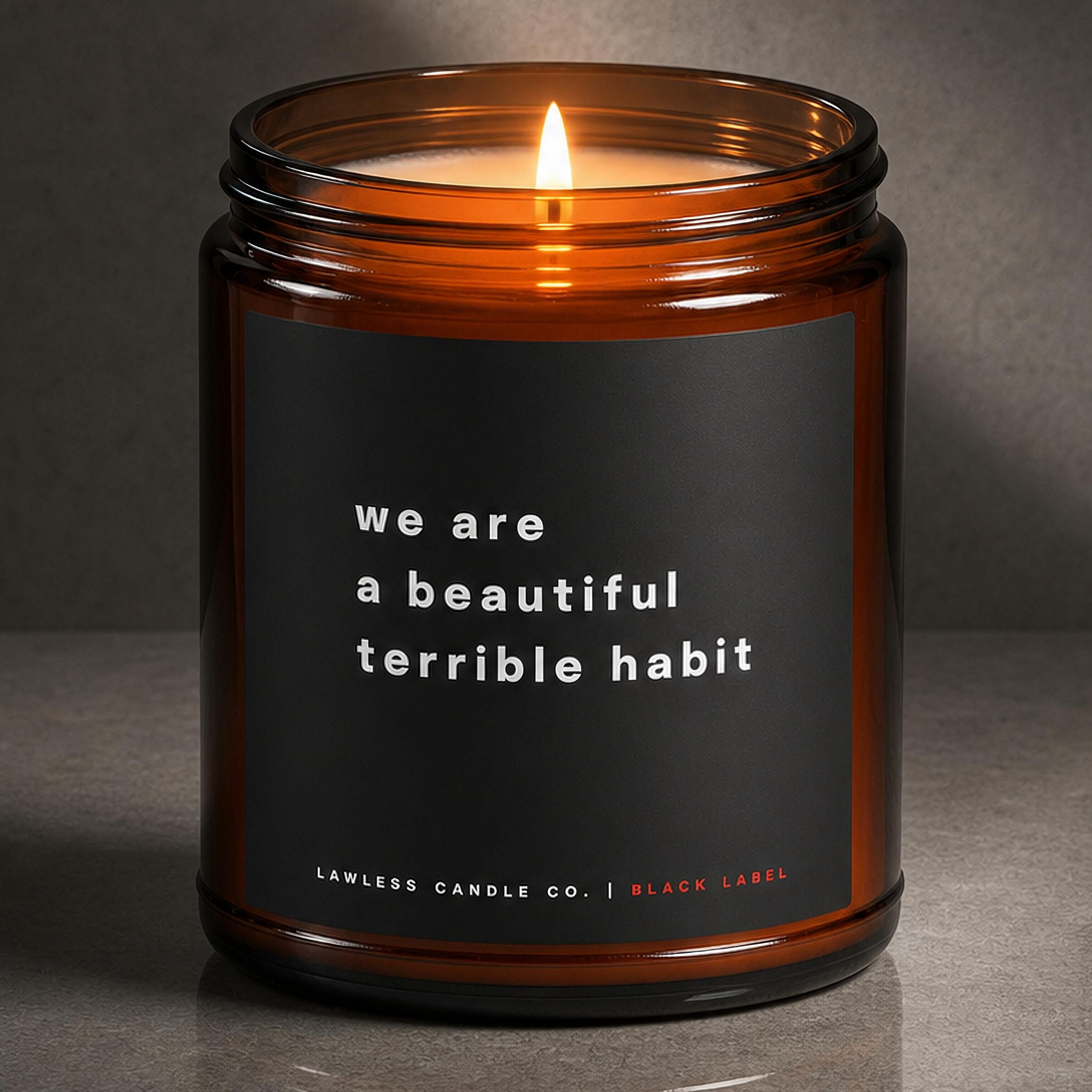 we are a beautiful terrible habit | L10