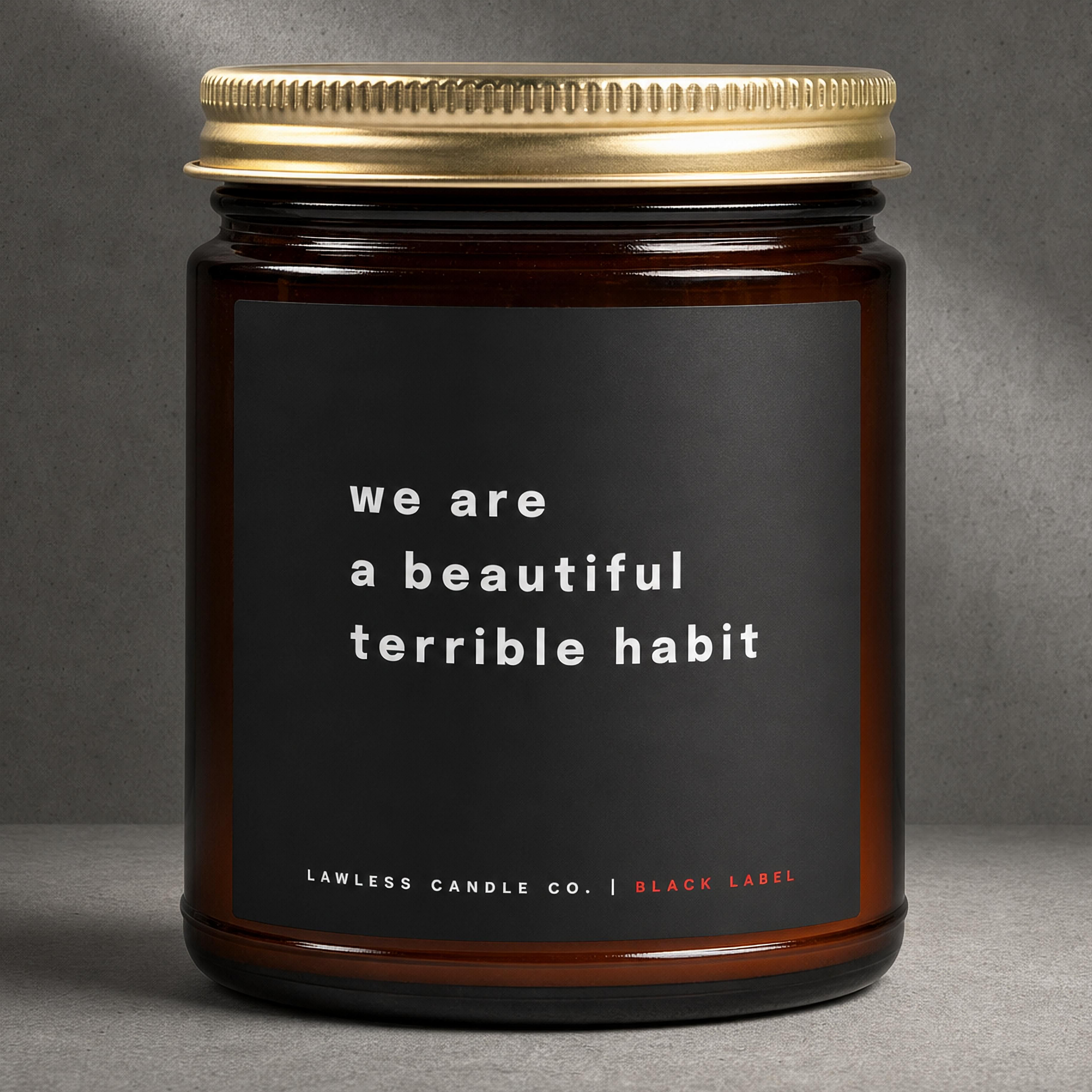 we are a beautiful terrible habit | L10